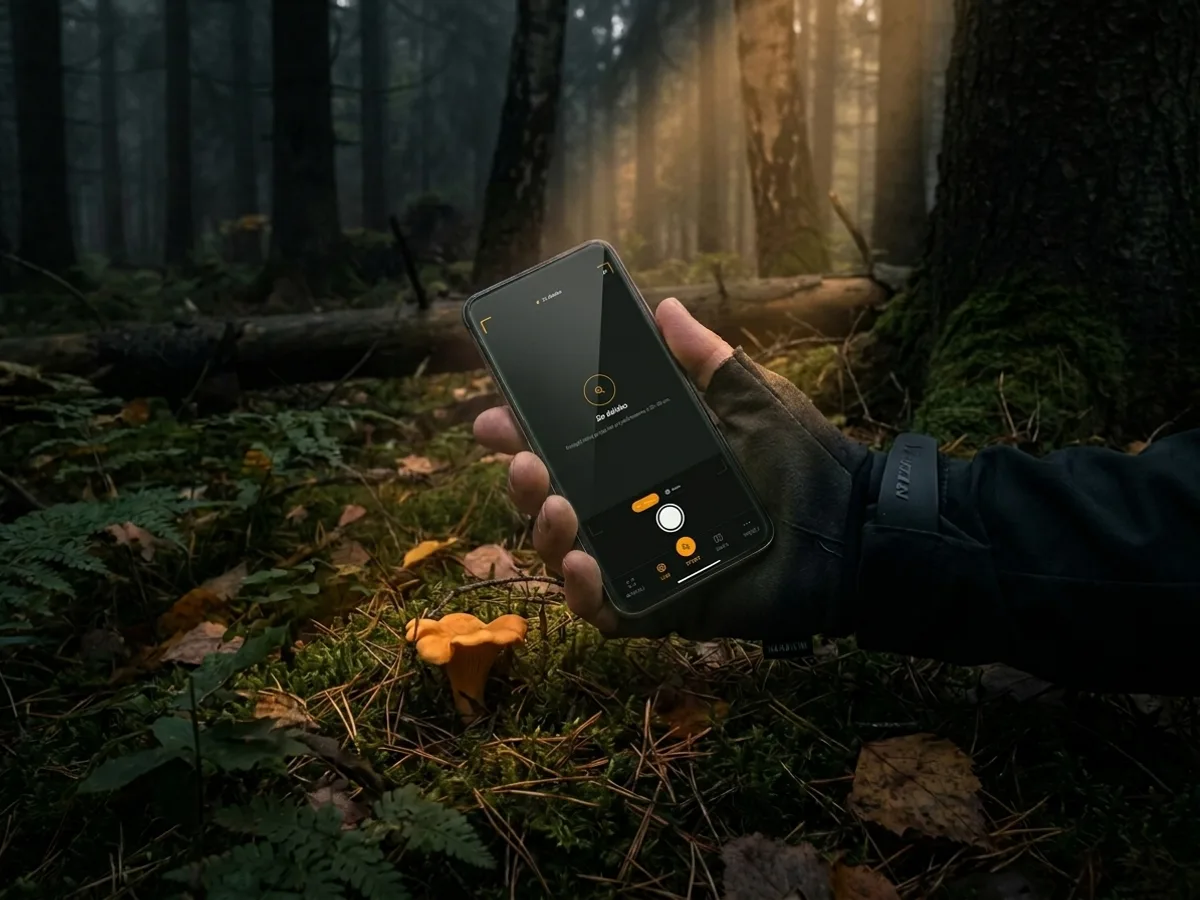 Telefon nad ściółką wykrywa ukrytego borowika konturem AR
